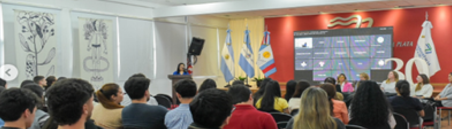 slide curso